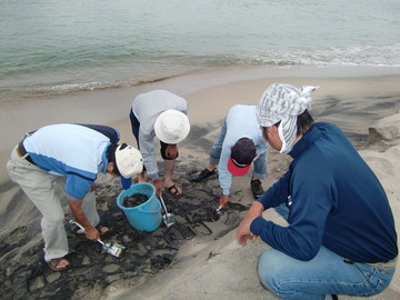 弓ヶ浜での砂鉄採集