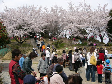 桜祭り1