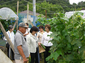 無農薬農業見学1